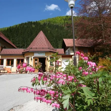 Waldesruh 3* Göstling an der Ybbs