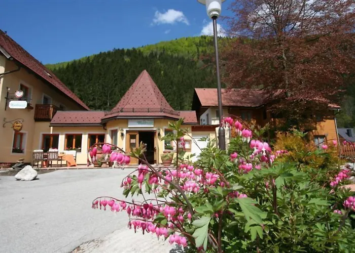 Waldesruh 3* Göstling an der Ybbs